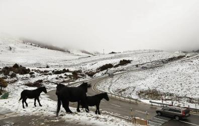 Semana con tiempo revuelto y precipitaciones