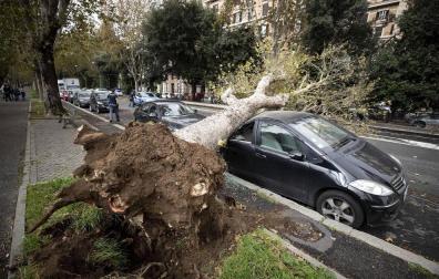 Ascienden a nueve los muertos por el temporal de lluvia y viento en Italia