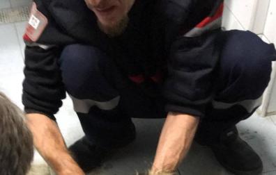 Los bomberos rescatan a un perro que se había caído a un charco de alquitrán