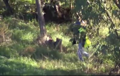Se busca a una joven desaparecida en El Campillo