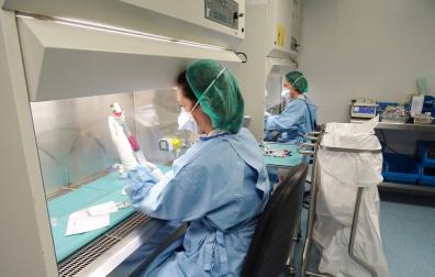 Salud, educación y comercio lideran el empleo en Pamplona