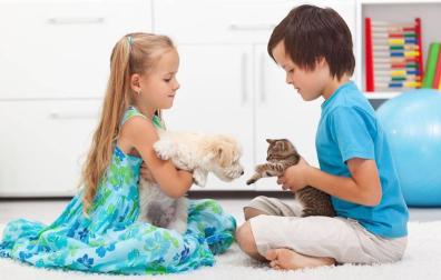 niños mascotas seguros