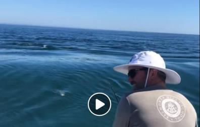 El susto de un tiburón blanco a unos pescadores se vuelve viral en Facebook