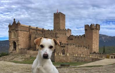 'Pipper', de turismo por Navarra