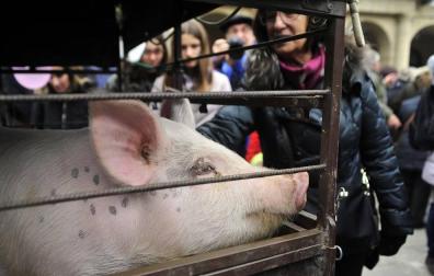 Tafalla celebró este domingo el último día de sus ferias con multitud de vecinos y visitantes que se acercaron a la plaza del Ayuntamiento donde se congregaron un total de treinta puestos artesanales y a la tradicional Rifa del Cuto.