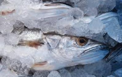 Cada vez comemos menos pescado