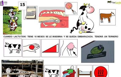 Pictogramas para la visita de los niños de ANA a las instalaciones de Lacturale