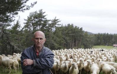 Una semana de miedo en Uztárroz con la osa Claverina
