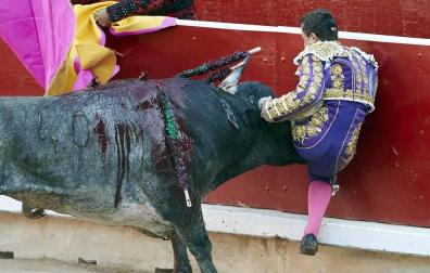 El torero ha sido atendido en la enfermería de la plaza de "una cornada envainada en el hemitórax izquierdo y múltiples fracturas costales"
