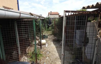 Imagen del lugar donde fueron encontrados los cadáveres de los perros.