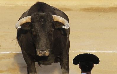 La bravura y Esaú triunfan en el coso estellés