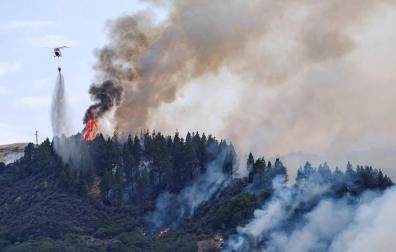 Declarado el Nivel 2 del incendio de Valleseco (Gran Canaria)