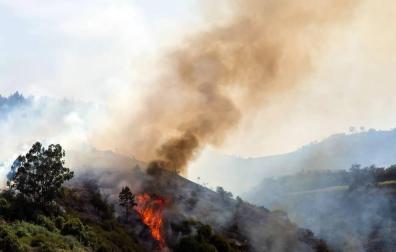 El incendio de Gran Canaria se descontrola y amenaza el parque natural de Tamadaba
