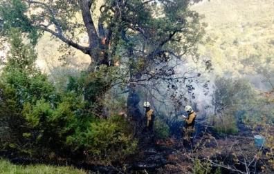 Un roble ardiendo en el incendio de la sierra de Lóquiz