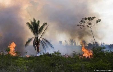 Cientos de personas llaman a rezar por el Amazonas ante los incendios