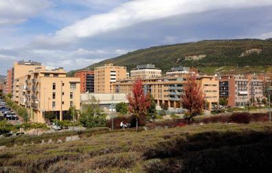 Buztintxuri, Ezkaba y Nuevo Artica: Contención de precios y menos avales