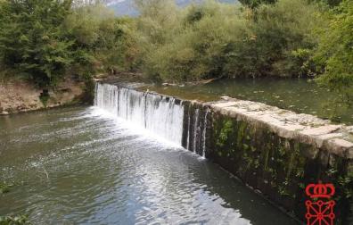 Zona del río Arakil en la que apareció muerta la perra