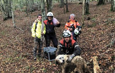 Rescatado ileso un perro que cayó a una sima de 17 metros