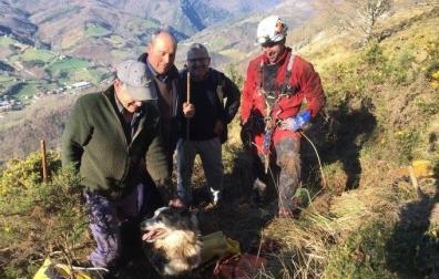 Los bomberos rescatan a dos perros que habían caído en sendas simas
