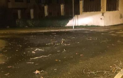 Cerrada al tráfico la carretera de Miluce por riesgo de caída de ramas