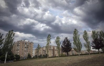 Las copas de los árboles se doblan ayer en el barrio de Iturrama por el empuje del cierzo.