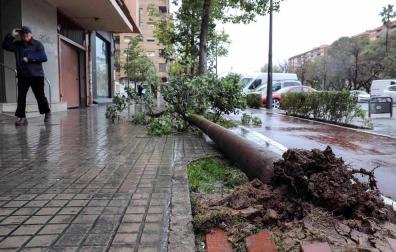 Todas las fotos de incidentes causados por el temporal Gloria en España