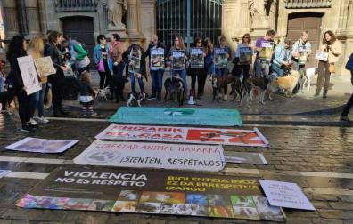 No a la Caza muestra en Pamplona su rechazo a la actividad cinegética