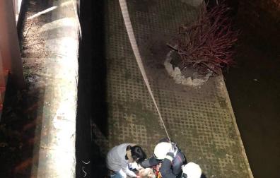 Momento en el que los bomberos preparan al perro para ser izado de los fosos