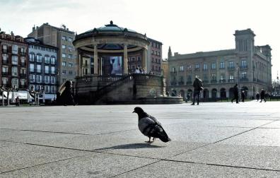 Una paloma, delante del kiosko de la Plaza del Castillo.