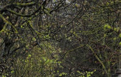 Los móviles 'chivan' a Google cuánto se mueven los españoles en el confinamiento