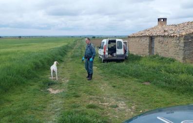 Patrulla de la Guardia Civil con el perro y el vehículo del cazador.