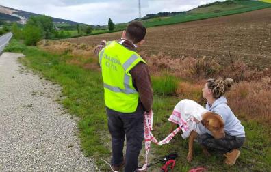 La Guardia Civil localiza a un perro perdido en la N121 entre Beriáin y Tiebas