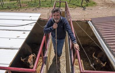 Miguel Reta, en su finca de La Tejería, de Grocin, sobre una estructura que divide dos recintos de vacas bravas.