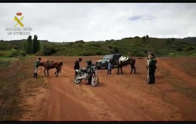 La Guardia Civil denuncia a tres personas por huir a caballo