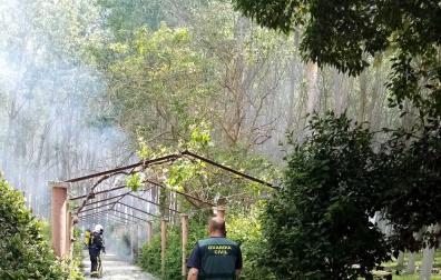 El fuego quemó una extensión de 2 hectáreas aproximadamente
