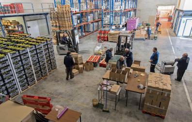 El 5% de la población navarra recurre a la ayuda del Banco de Alimentos