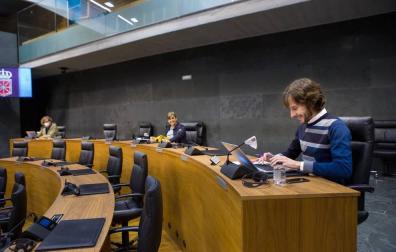 El Parlamento aprueba crear una comisión para contribuir al Plan Reactivar Navarra