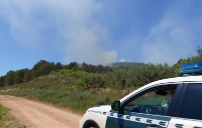 Fotos del incendio forestal que ha dejado una víctima mortal en Los Arcos.