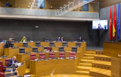 Pleno del Parlamento de Navarra.