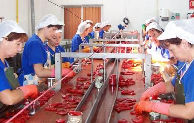 Línea de envasado de pimiento de piquillo en una conservera navarra.