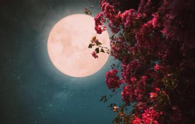 Imagen de la Luna 'de fresa'