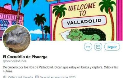 El cocodrilo del Pisuerga 'se abre' una cuenta en Twitter: "En este país no se puede vivir tranquilo"