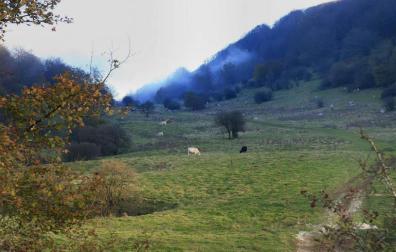 Localizadas dos jóvenes extraviadas en el Valle de Ata (Aralar)