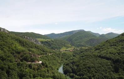 Masas boscosas en Aezkoa desde el mirador de Ariztokia sobre el Irati.