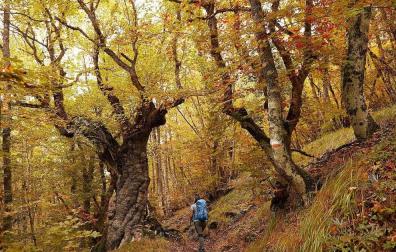 Sendero de Gartxot. Fotografías cedidas por el Servicio de Marketing e Internacionalización Turística del Gobierno de Navarra.