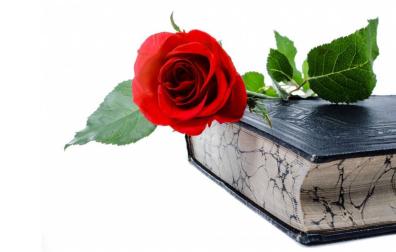 Los Sant Jordi 'navarros'