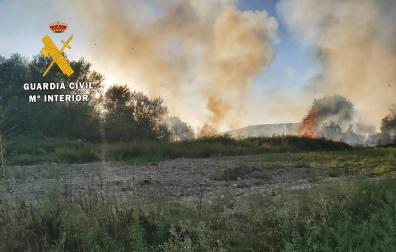 Calcinada media hectárea de arboleda y monte bajo en Santacara