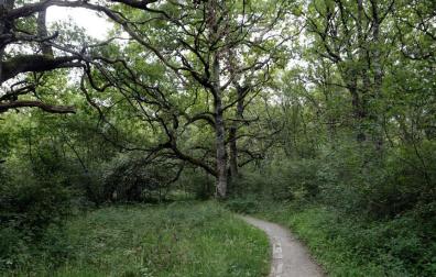 ​El Bosque de Orgi celebra su 20 aniversario como Área Natural Recreativa