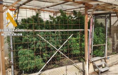 La Guardia Civil se incauta de sustancias estupefacientes en Milagro y Estella