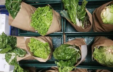 Cestas alimentos